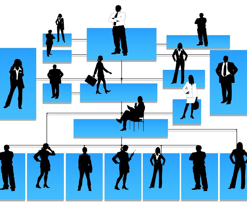 Distinction between Executive Directors vs Non - Executive Directors