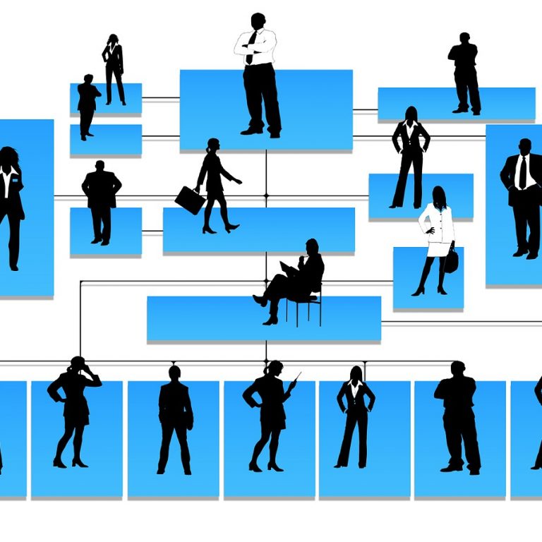 Article - Distinction between Executive Directors vs Non-Executive Directors