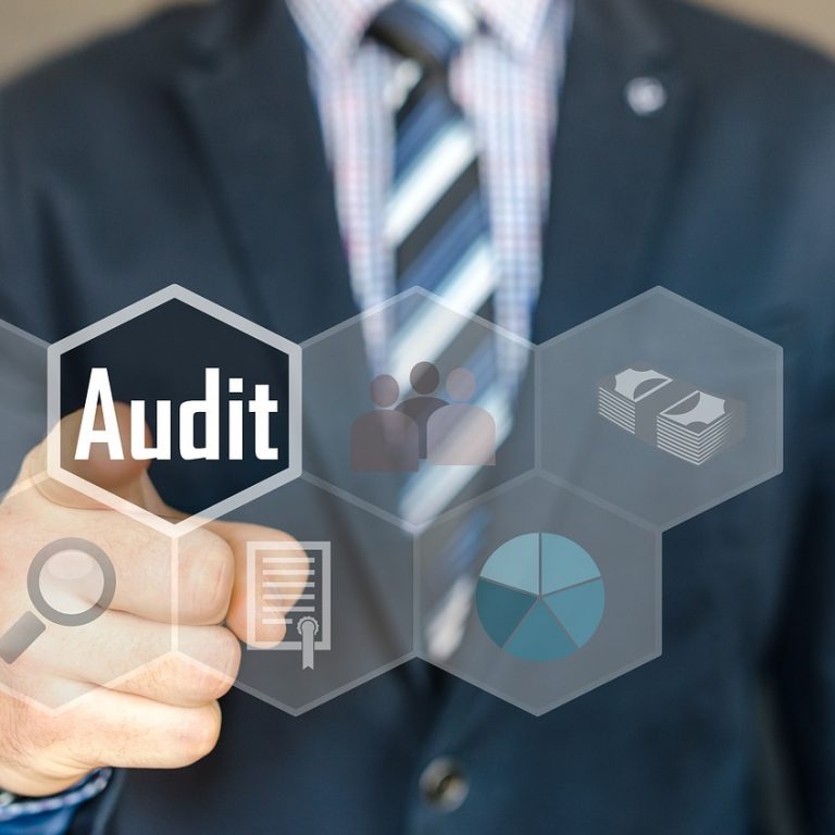 Article - Legal Investigative Audit