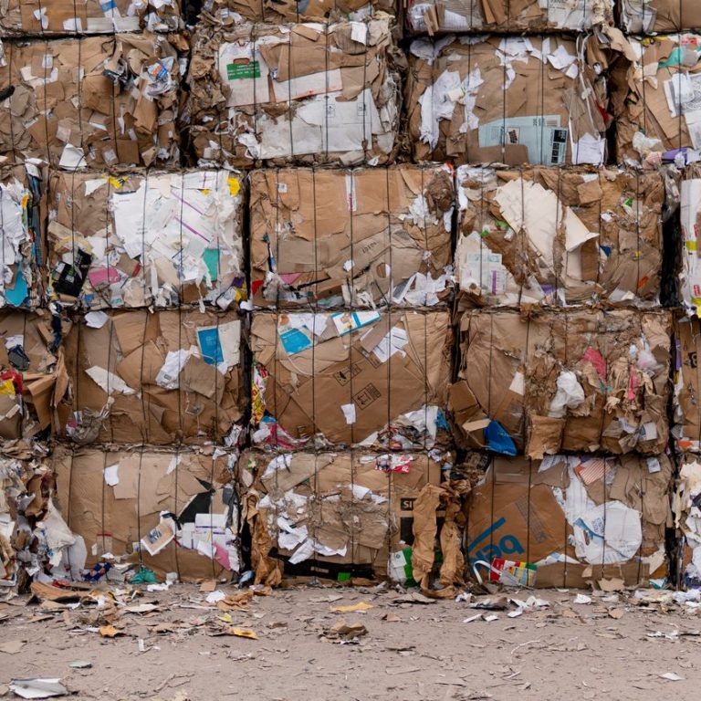 Article - The Law Relating to Anti-Dumping 2