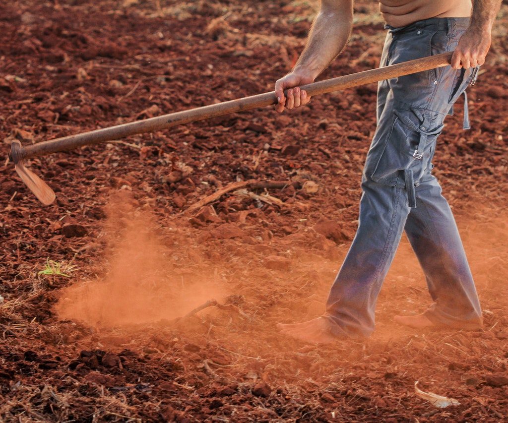 Indefeasibility of Title – Loss of Land Through Fraud