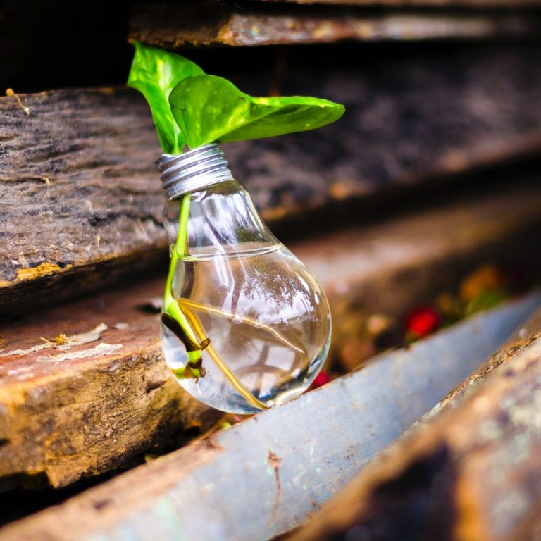 Article - What's In A Plant: An Analysis of Cases Regarding Qualifying Plant Expenditures