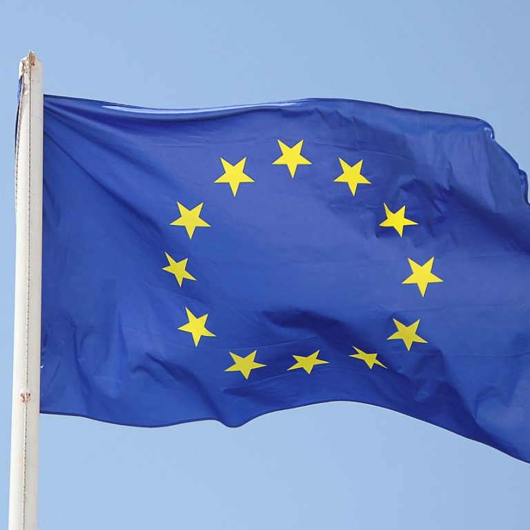 Article - New EU Mandatory Due Diligence Regime on Human Rights, the Environment and Good Governance