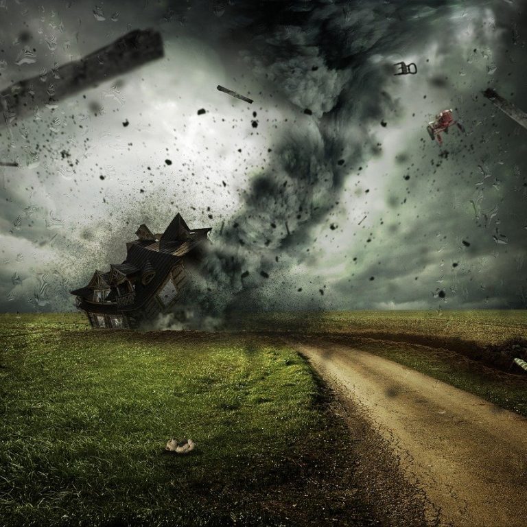 Article - Addressing Climate Change in Your Business