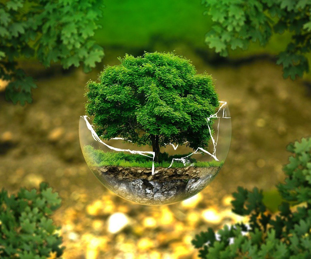 environmental-green objects