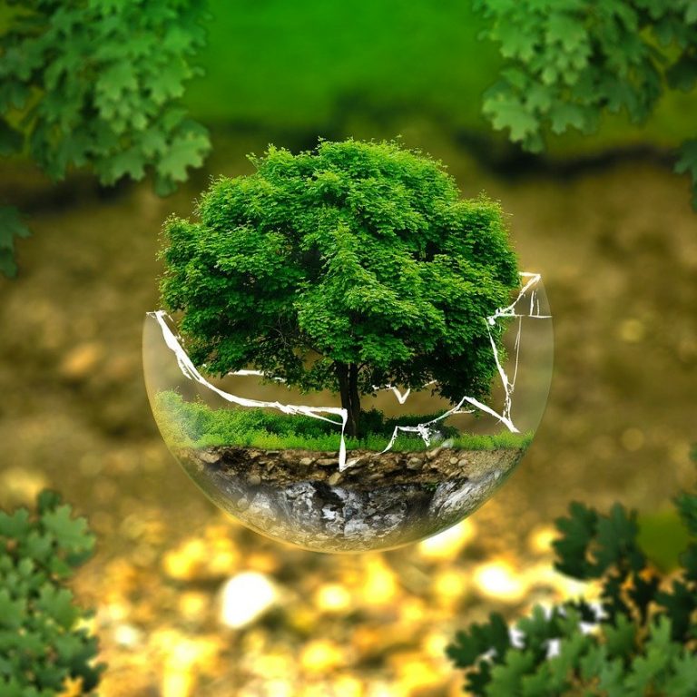 Article - Green Objects