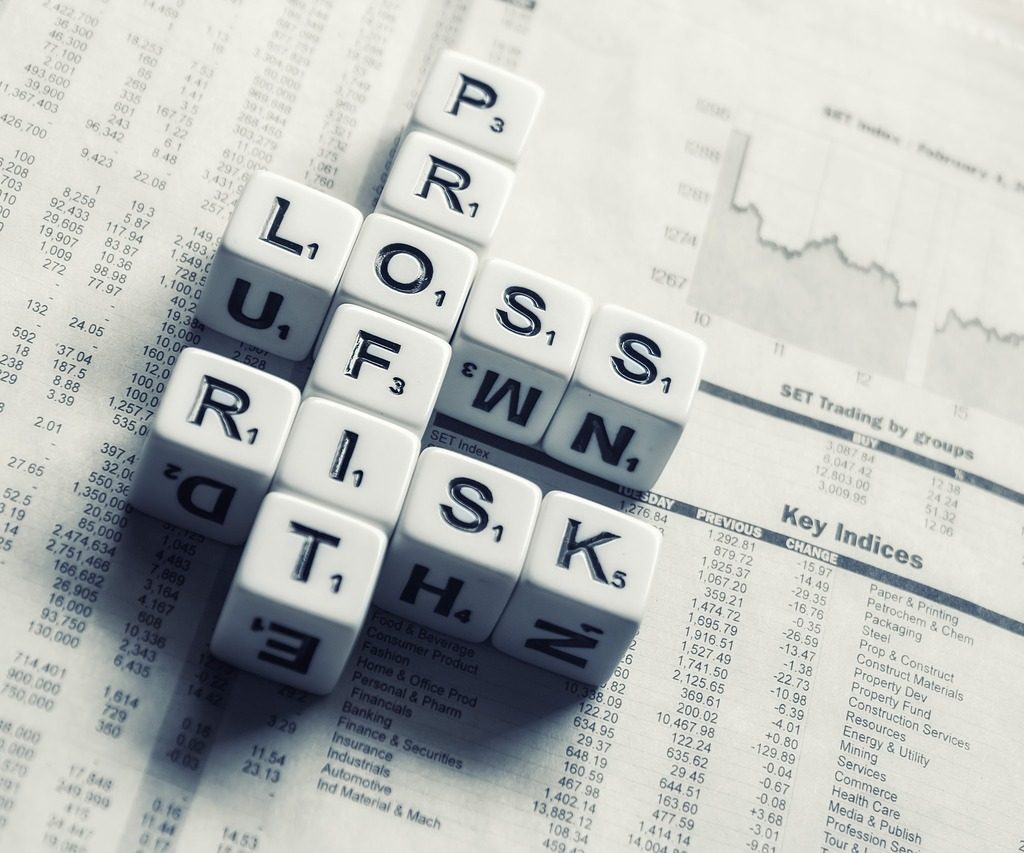 Structuring an Investment Legal, Business and Tax Issues from a Private Equity Fund Investor’s Perspective