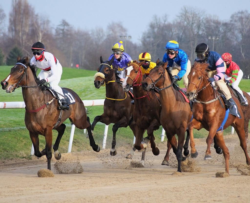 The Legal Aspects of Cross Border Purchase of Sport Horse