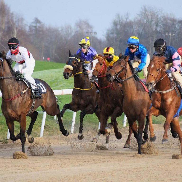 Article - The Legal Aspects of Cross Border Purchase of Sport Horse