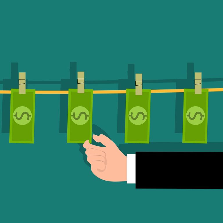 Article - Directors of Overseas Companies and the EC(TE)A