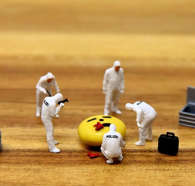 Article - Legal Aspects of Forensic Investigation in Malaysia