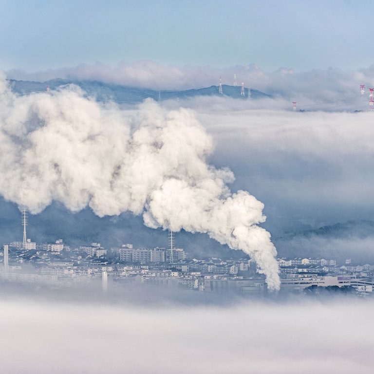 How to Claim and Trade Carbon Credit