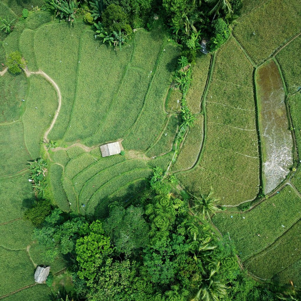 Sarawak Land Ownership Rights for Non-Sarawakians