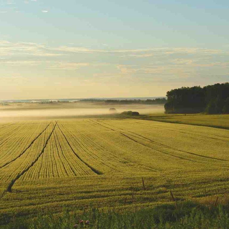 Article - Legal Perspective Essential Factors for Foreign Investors to Consider Prior to Purchasing or Leasing Land in Malaysia in 2024