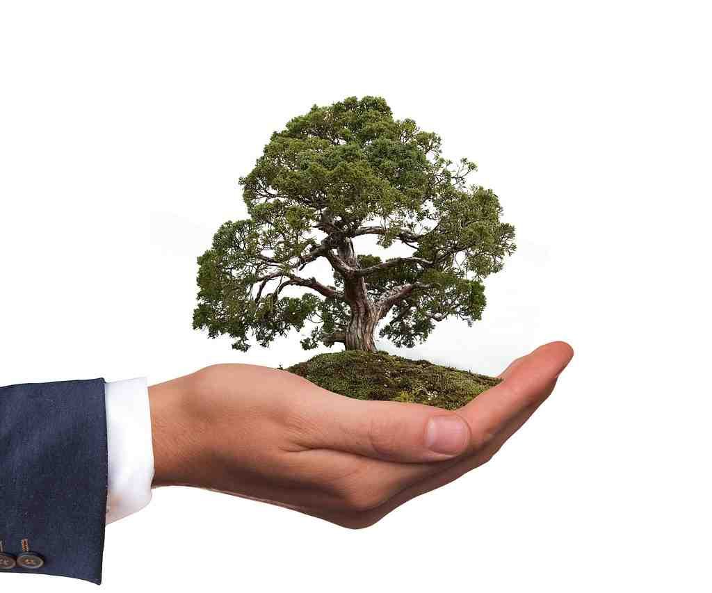 Recent Developments on the Implementation of Environment, Social and Governance (ESG)