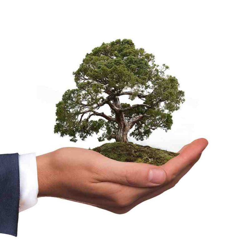 Article - Recent Developments on the Implementation of Environment, Social and Governance (ESG)