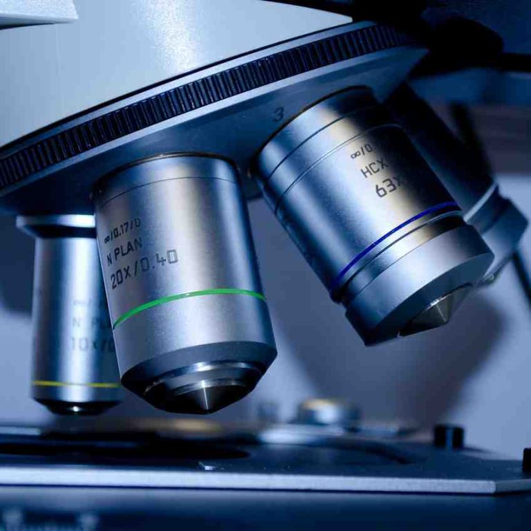 Article - The Regulatory Framework of Stem Cell Research and Therapy in Malaysia