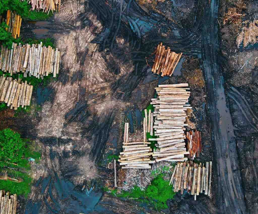 Guide for Local and Foreign Investors for Buying or Leasing Industrial Land in Penang