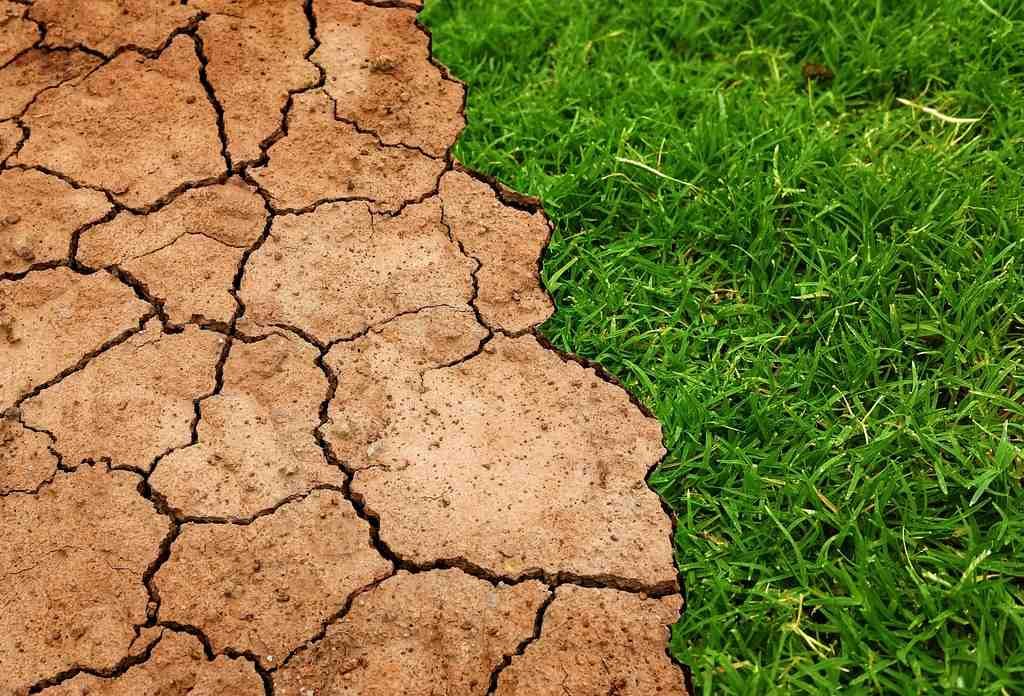 Climate Change Bill - What You Have To Know In 2 Minutes