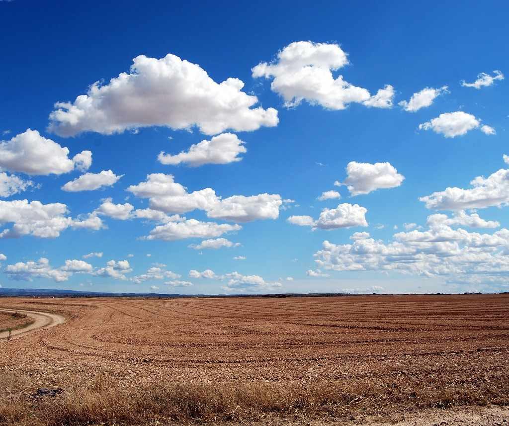 Case Law Discourse on the Non-Compliance or Breach of Express Conditions of Alienated Land