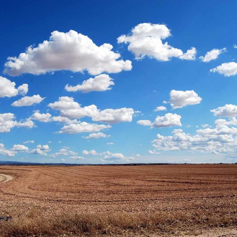 Article - Case Law Discourse on the Non-Compliance or Breach of Express Conditions of Alienated Land