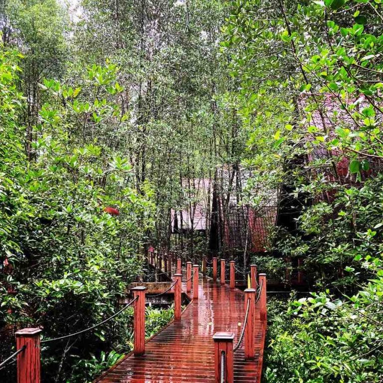 Article - Nature-Based Solutions - A Vital Tool in Combating Climate Change