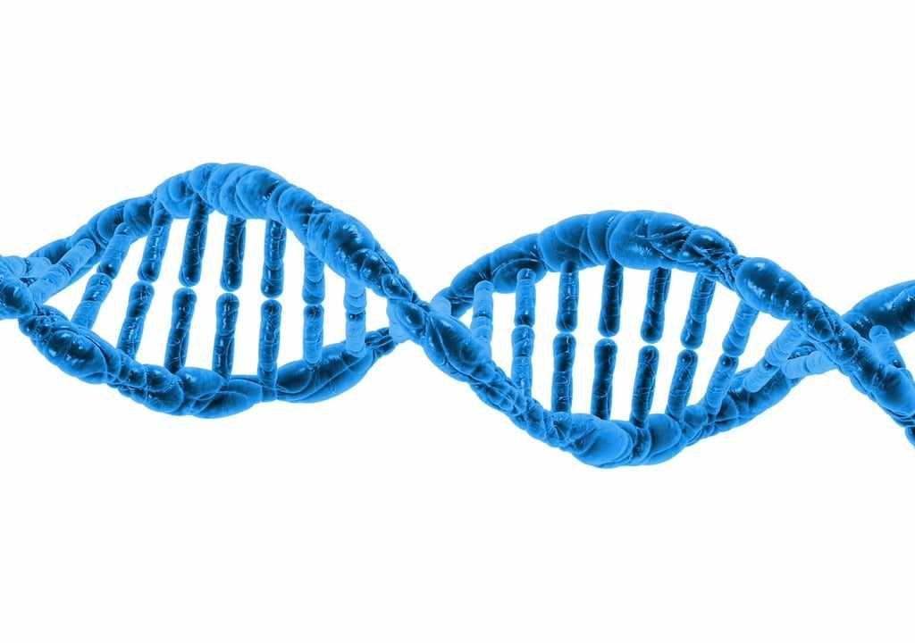 The Biotechnology Industry in Malaysia - An Overview of the Legal Framework