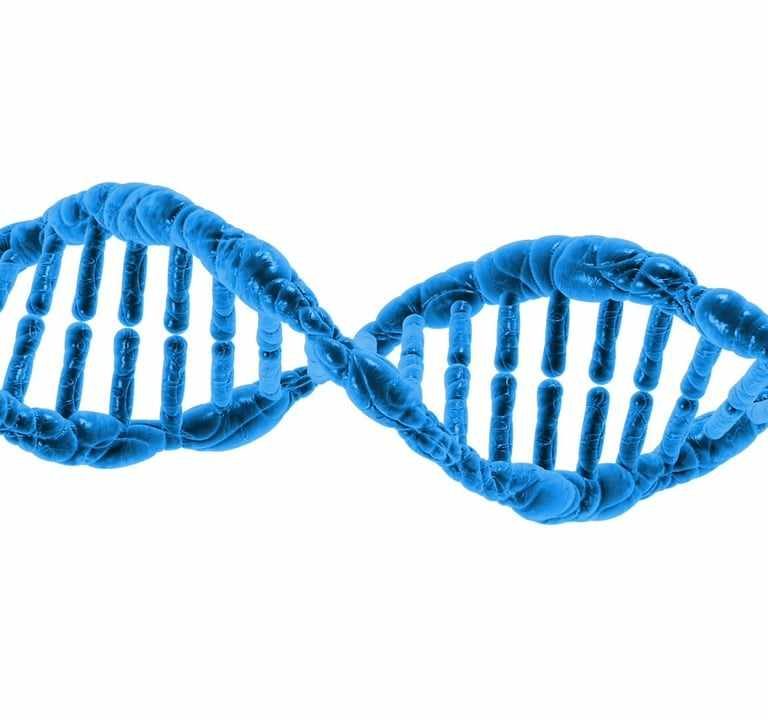 Article - The Biotechnology Industry in Malaysia - An Overview of the Legal Framework
