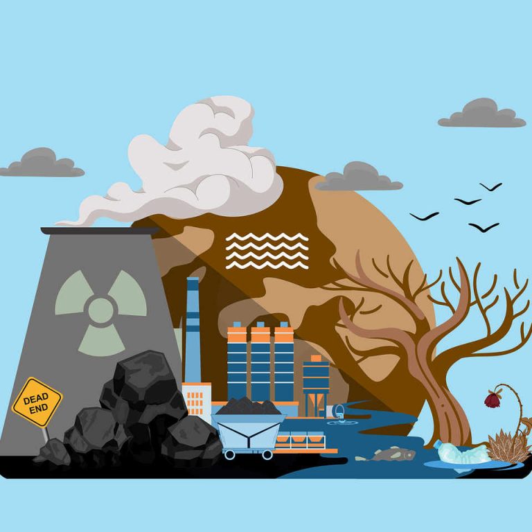 Article - Climate Accountability in Action - Why NSRF-Driven Disclosure Is Now a Business Imperative