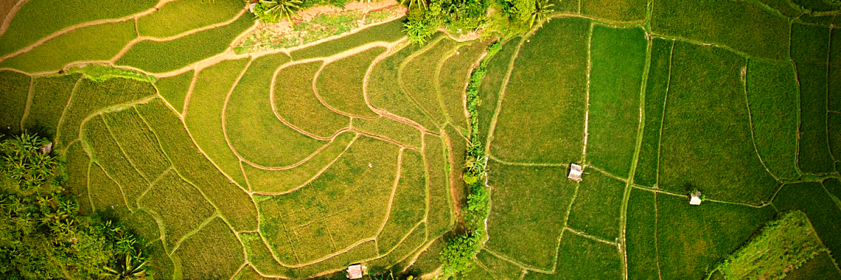 Real Estate & Property